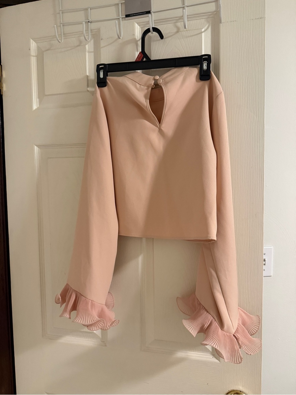 Zara Blush Pink Ruffle-Cuff Cropped Top - Picture 6 of 6